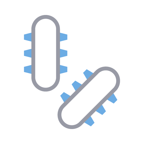 Viruses and bacteria icon